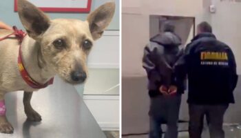 Edomex: Ingresa a prisión trabajador de limpieza por golpiza a 'Taquito'
