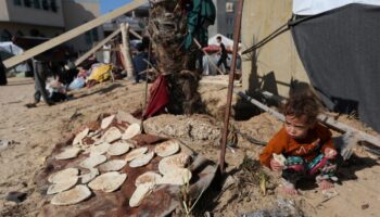 Mitad de Gaza se muere de hambre y 9 de cada 10 personas no comen suficiente: ONU