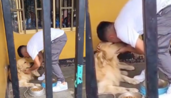 Video | Así fue la emotiva despedida entre nuevo jugador de Pumas y su perrito