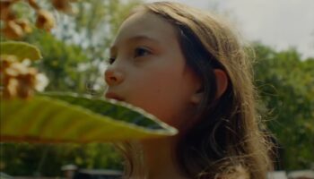 'Tótem', una película personal, familiar y de procesos sanadores: Lila Avilés | Video