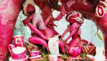 Video | Dedican Noche de Rábanos a la partería y medicina tradicional de Oaxaca