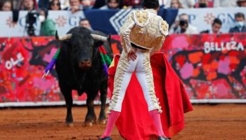 Diputados y asociaciones civiles presentan amparo contra el regreso de corridas de toros en CDMX
