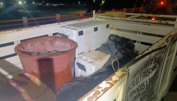 Suman 15 cuerpos mutilados hallados en puente de Tuxpan, Veracruz