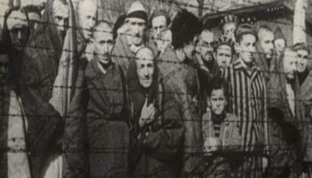 'Hay un gran peligro de que el Holocausto pierda su significancia': historiador