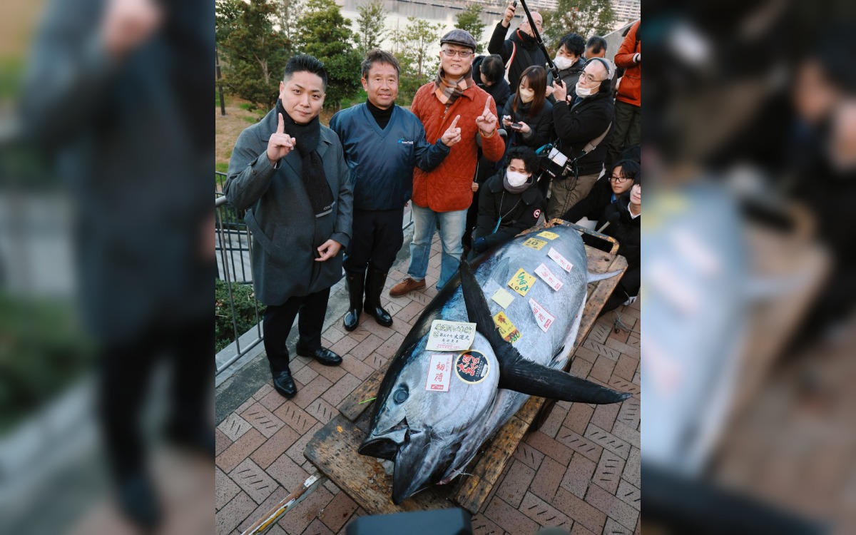 They pay 787 thousand dollars for tuna in Japan, why?