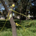 Foto: Fernanda Pérez Rivera Moisés