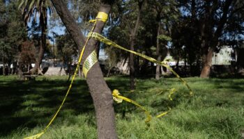 Xochimilco: un asesino serial de perros acecha en el Bosque de Nativitas