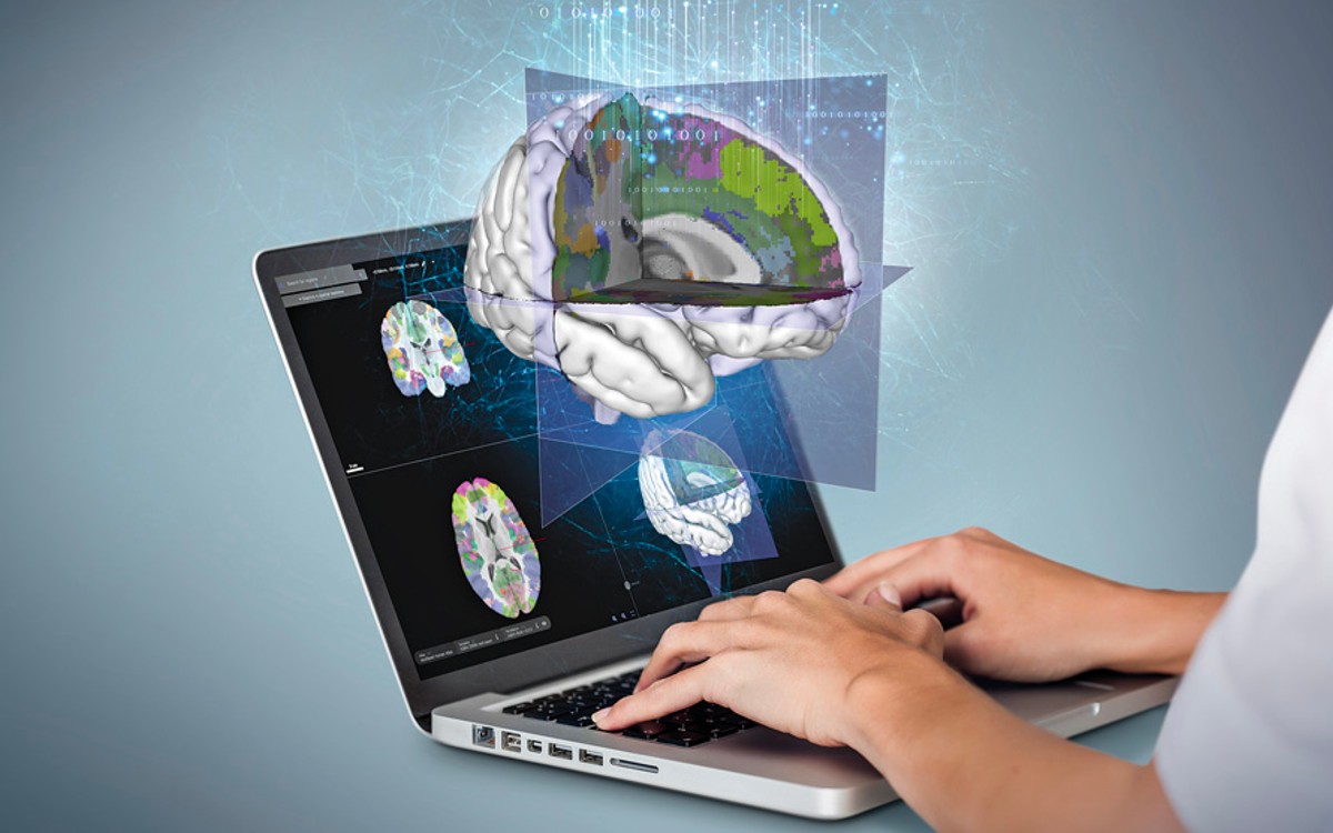 Científicos logran crear un mapa tridimensional del cerebro tras 10 años de trabajo Científicos logran crear un mapa tridimensional del cerebro tras 10 años de trabajo