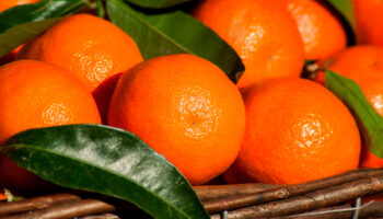 ¿Qué beneficios nos da la mandarina?