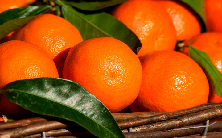¿Qué beneficios nos da la mandarina? ¿Qué beneficios nos da la mandarina?
