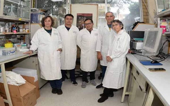 Desarrollan molécula que reduce tumores y metástasis de cáncer de mama Desarrollan molécula que reduce tumores y metástasis de cáncer de mama