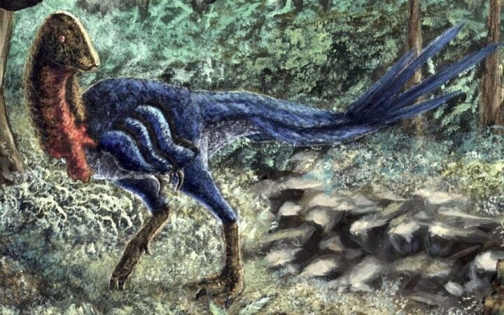 Descubren nueva especie de dinosaurio emplumado: 'pollo del infierno'