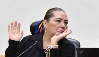 Guadalupe Taddei 'ha renunciado a buscar acuerdos': exconsejeros electorales