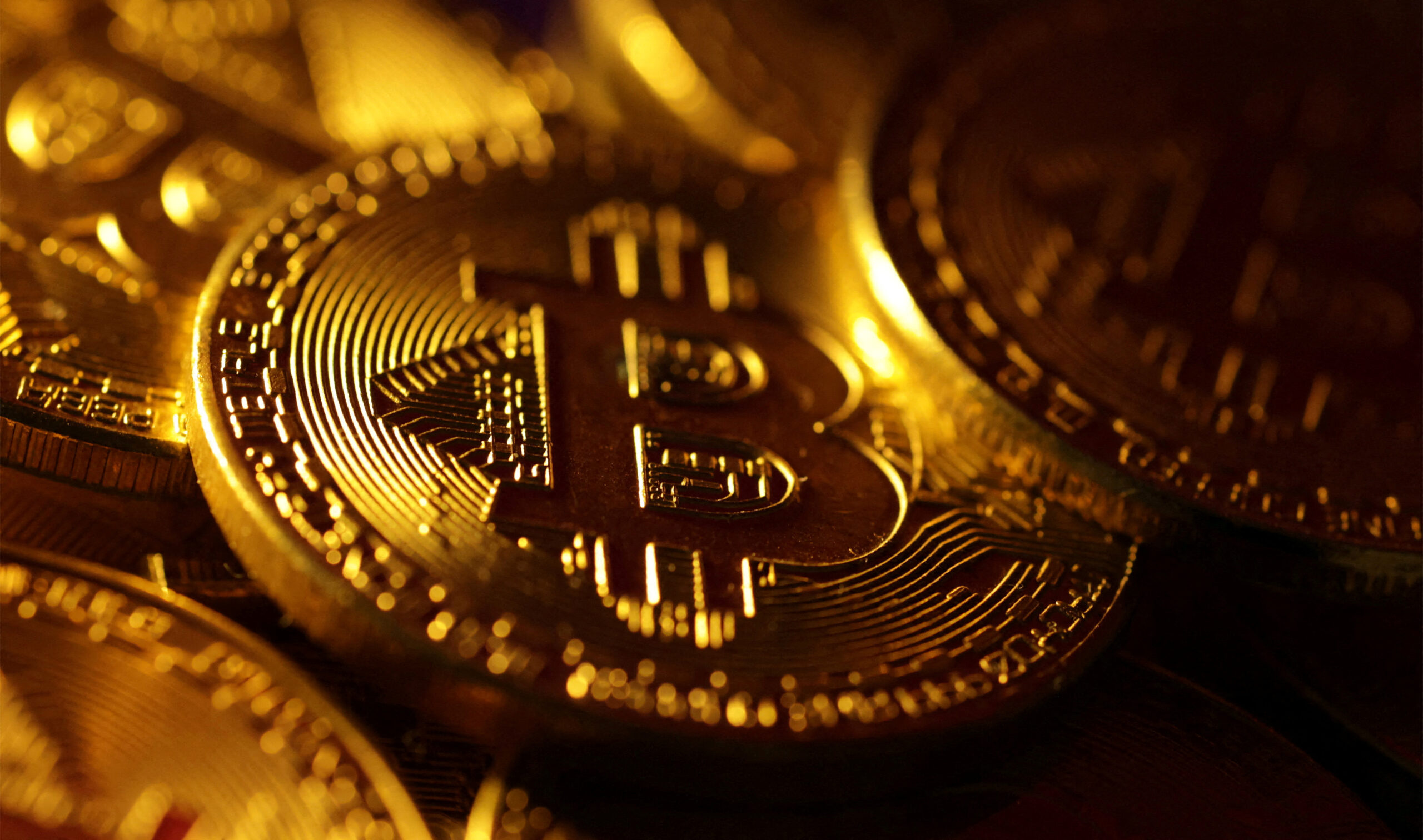 detienen a ‘bitcoin jesus’ por evasión fiscal
