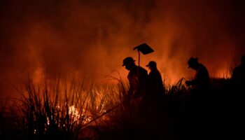 Incendios en Amazonía cayeron 10.8% en 2023 pese a histórica sequía