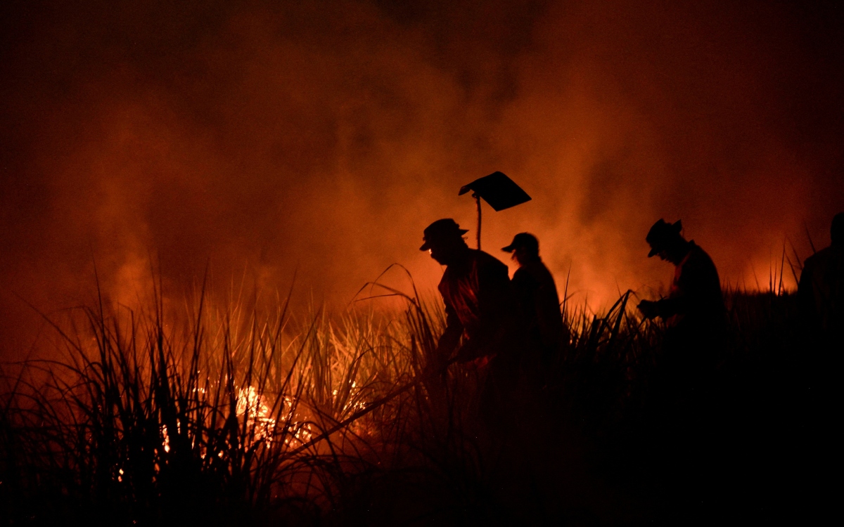 Incendios en Amazonía cayeron 10.8% en 2023 pese a histórica sequía