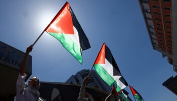 España acuerda con Irlanda, Malta y Eslovenia reconocer a Palestina como Estado