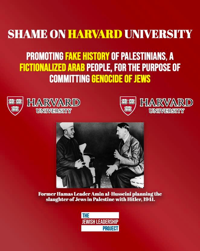 Estudiantes judíos demandan a Harvard por antisemitismo en el campus ...