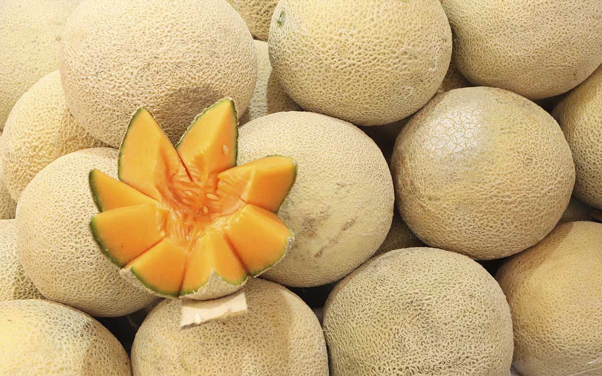 México no encontró salmonella en procesadora de melón en Sonora vinculada con brote en EU y Canadá