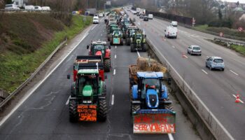 Protestas de agricultores llegan al mercado más grande de Francia; detienen a manifestantes: Florencia Ángeles
