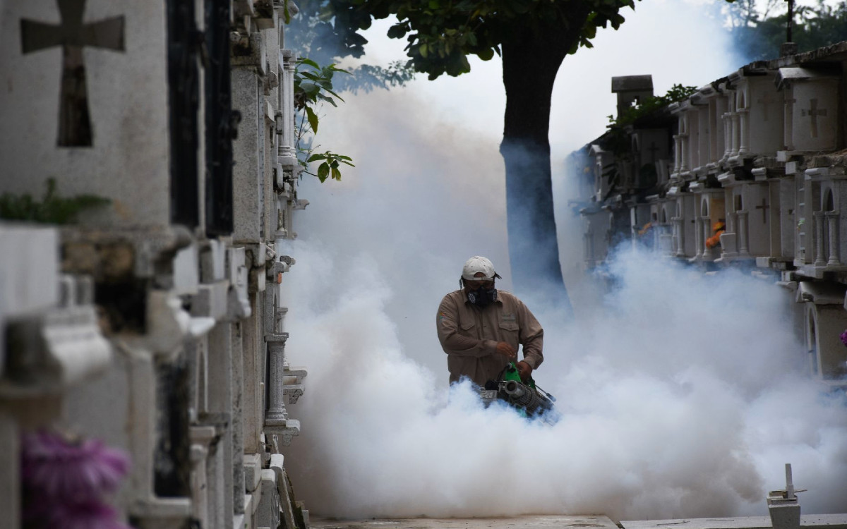 ​¿Son seguras las nebulizaciones contra el dengue?, esto es lo que dice un científico