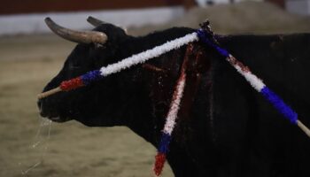 Protestan contra el regreso de las corridas de toros en la Plaza México