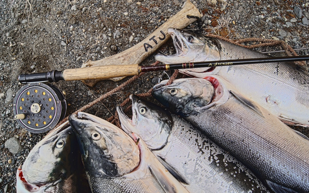 Brussels accuses six Norwegian companies of creating an Atlantic salmon ‘cartel’