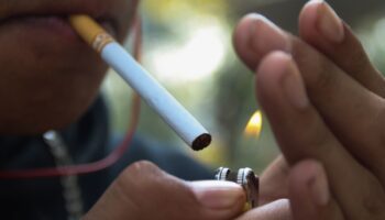 Cantidad de fumadores solo bajó 8.5% desde 2000: OMS