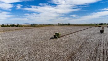 La tierra no es de nadie | Artículo de Ross Barrantes