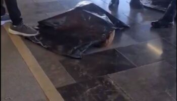 Reportan que metro habría atropellado a perro y cortado sus patas; acusan a personal de no atender al animal