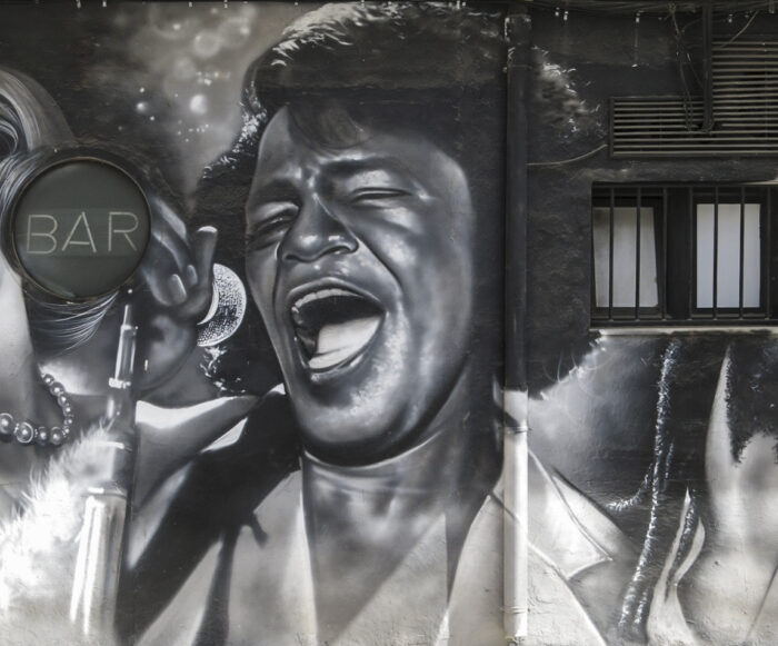 Pinta con la imagen de James Brown en Valencia. Foto: Vicenç Salvador Torres Guerola - Own work, CC BY-SA 3.0,