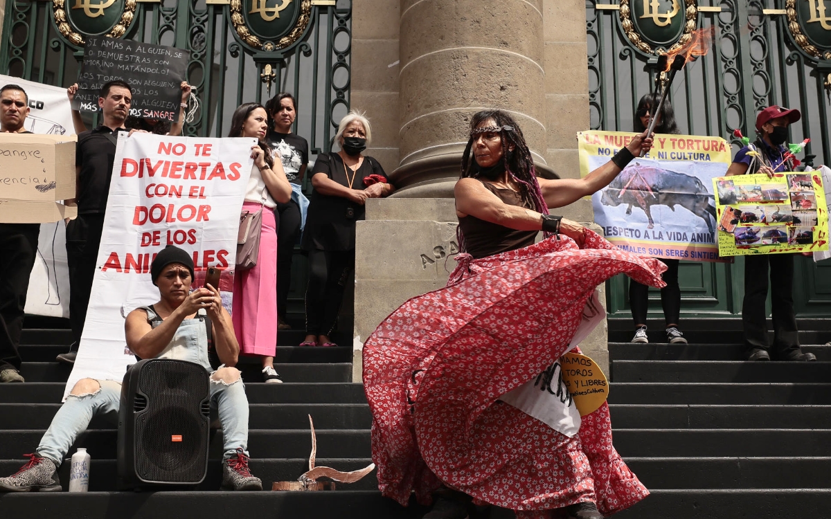 Videos y fotos | Activistas protestan frente al Congreso de la CDMX para  exigir que prohíba las corridas de toros | Aristegui Noticias