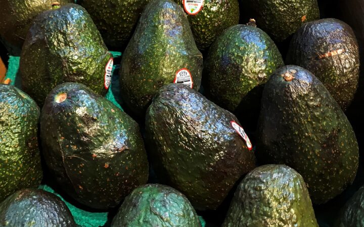 Aguacateros buscan diversificar sus exportaciones ante los aranceles de EU Aguacateros buscan diversificar sus exportaciones ante los aranceles de EU