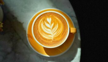 ¿Cuántas tazas de café se recomienda tomar al día?