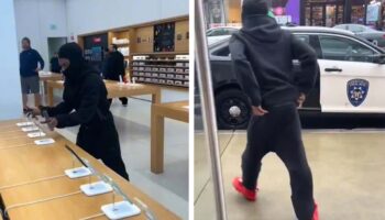 Detienen al sujeto que presuntamente robó 50 iPhones en una tienda y pasó frente a una patrulla | Video