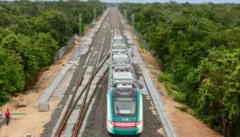 Verificará Profepa que empresa contratada para ahuyentar animales sobre Tren Maya cumpla normatividad