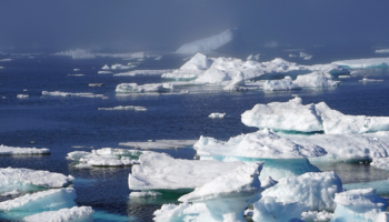 Denuncian que bares de lujo de Dubái ofrecen hielo de icebergs de Groenlandia en sus bebidas
