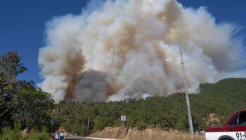 Incendio consume comedores, viviendas y bosque en la sierra oaxaqueña