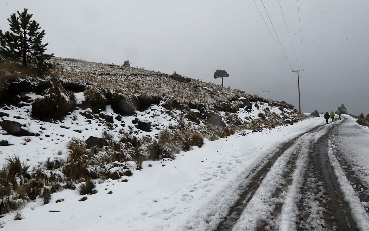 Entrada del frente frío 34 mantendrá condiciones para caída de nieve en el norte de México