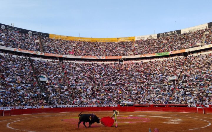 Jueza aplaza posible suspensión de corridas de toros en la Plaza México Jueza aplaza posible suspensión de corridas de toros en la Plaza México
