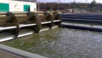 Regar cultivos con aguas residuales tratadas, una solución a la sequía: UNAM