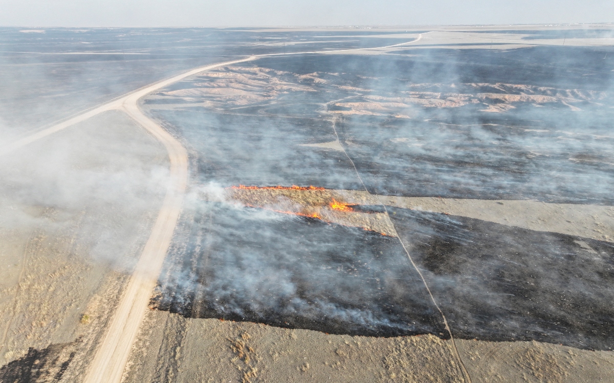 Texas faces the largest fire in its history