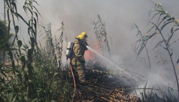Comuneros oaxaqueños piden ayuda contra incendios; autoridades emiten alertas: periodista | Video