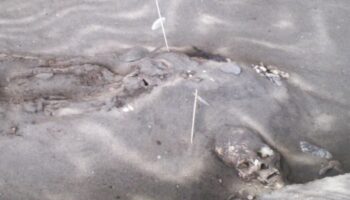 ¿Sabían que las momias más antiguas del mundo no se encuentran en Egipto sino en Chile?