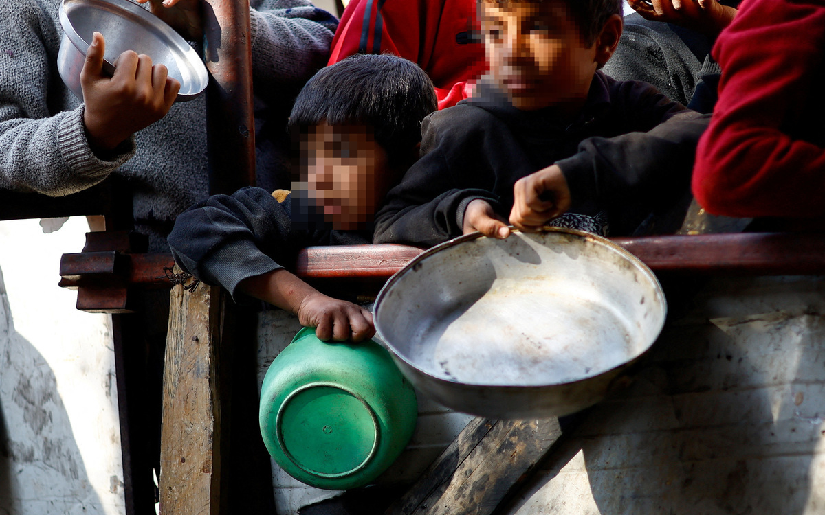 Israel is destroying Gaza’s food system – UN expert