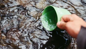 La humanidad ya llevó al límite el ciclo del agua dulce