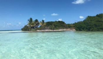 Cayo Culebra: Ponen a la venta la última isla virgen de la Riviera Maya por más de 1,100 mdp