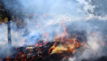 La CDMX huele a quemado por incendios forestales