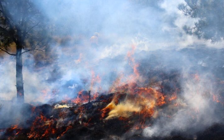 La CDMX huele a quemado por incendios forestales