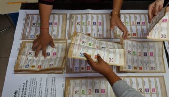 INE y OEA firman un acuerdo para observar las elecciones